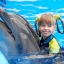 Дельфинотерапия и ее польза для детей [+Видео]