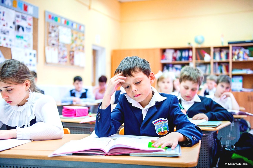 Школьным образованием довольны только 17% россиян