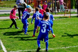 Дошколята 30 детсадов Тамбова принимают участие в турнире «Футбольная страна-2022»