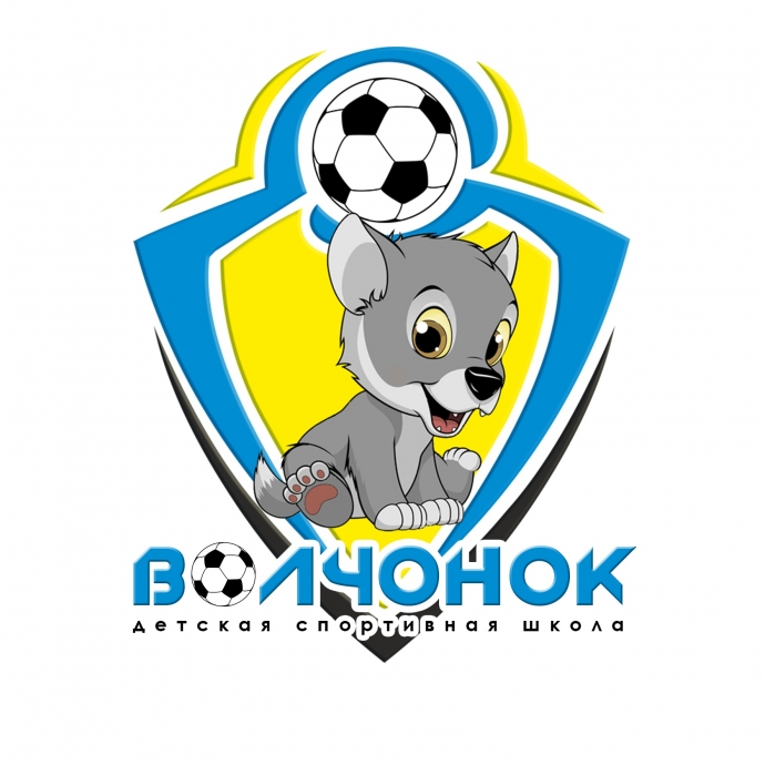 Детская футбольная школа «Волчонок» 0