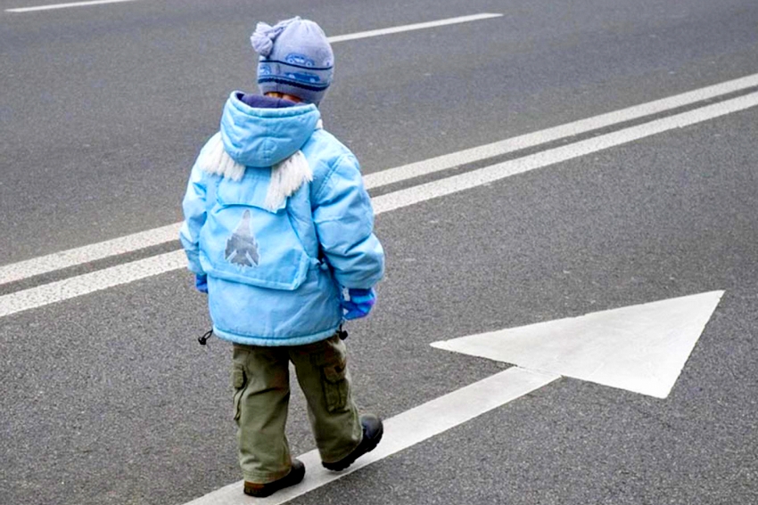 Госавтоинспекция Тамбовской области просит родителей напомнить детям о безопасности на дороге