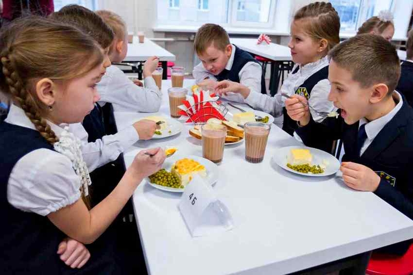 Стала известна доля проб школьного питания с нарушениями санитарных норм
